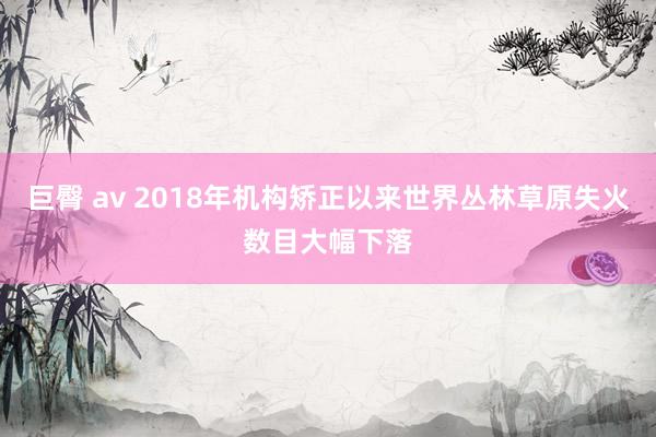 巨臀 av 2018年机构矫正以来世界丛林草原失火数目大幅下落
