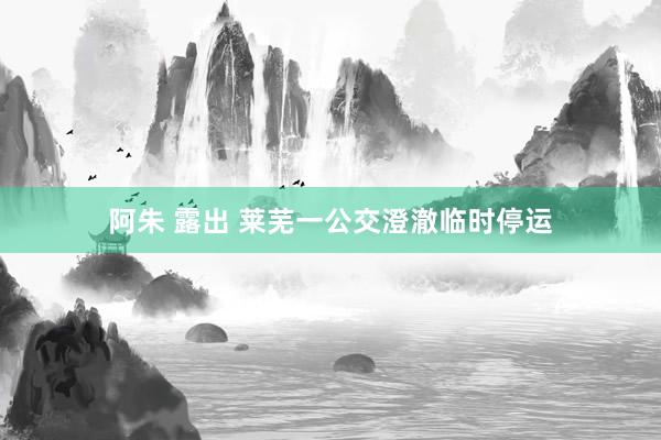 阿朱 露出 莱芜一公交澄澈临时停运