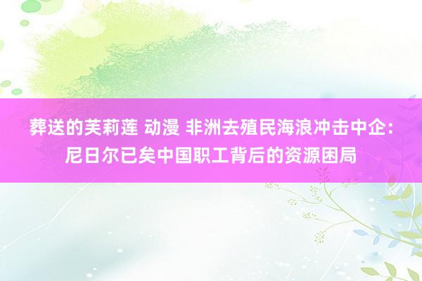葬送的芙莉莲 动漫 非洲去殖民海浪冲击中企：尼日尔已矣中国职工背后的资源困局