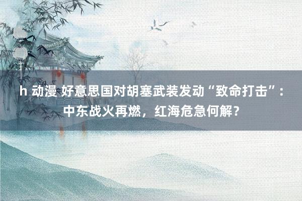 h 动漫 好意思国对胡塞武装发动“致命打击”：中东战火再燃，红海危急何解？