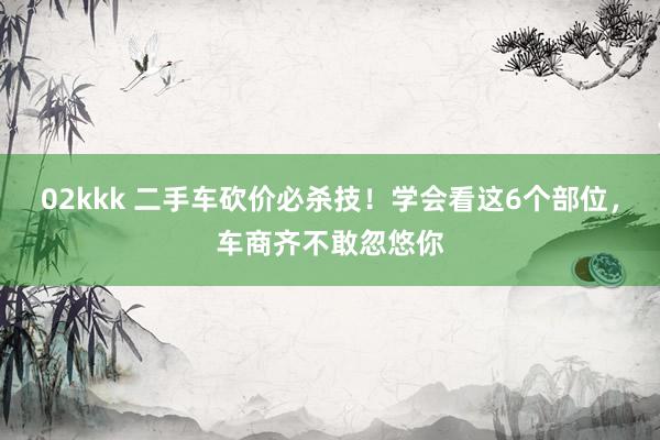 02kkk 二手车砍价必杀技！学会看这6个部位，车商齐不敢忽悠你