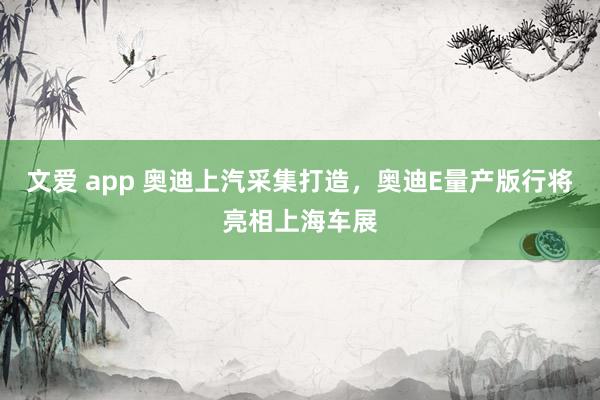 文爱 app 奥迪上汽采集打造，奥迪E量产版行将亮相上海车展